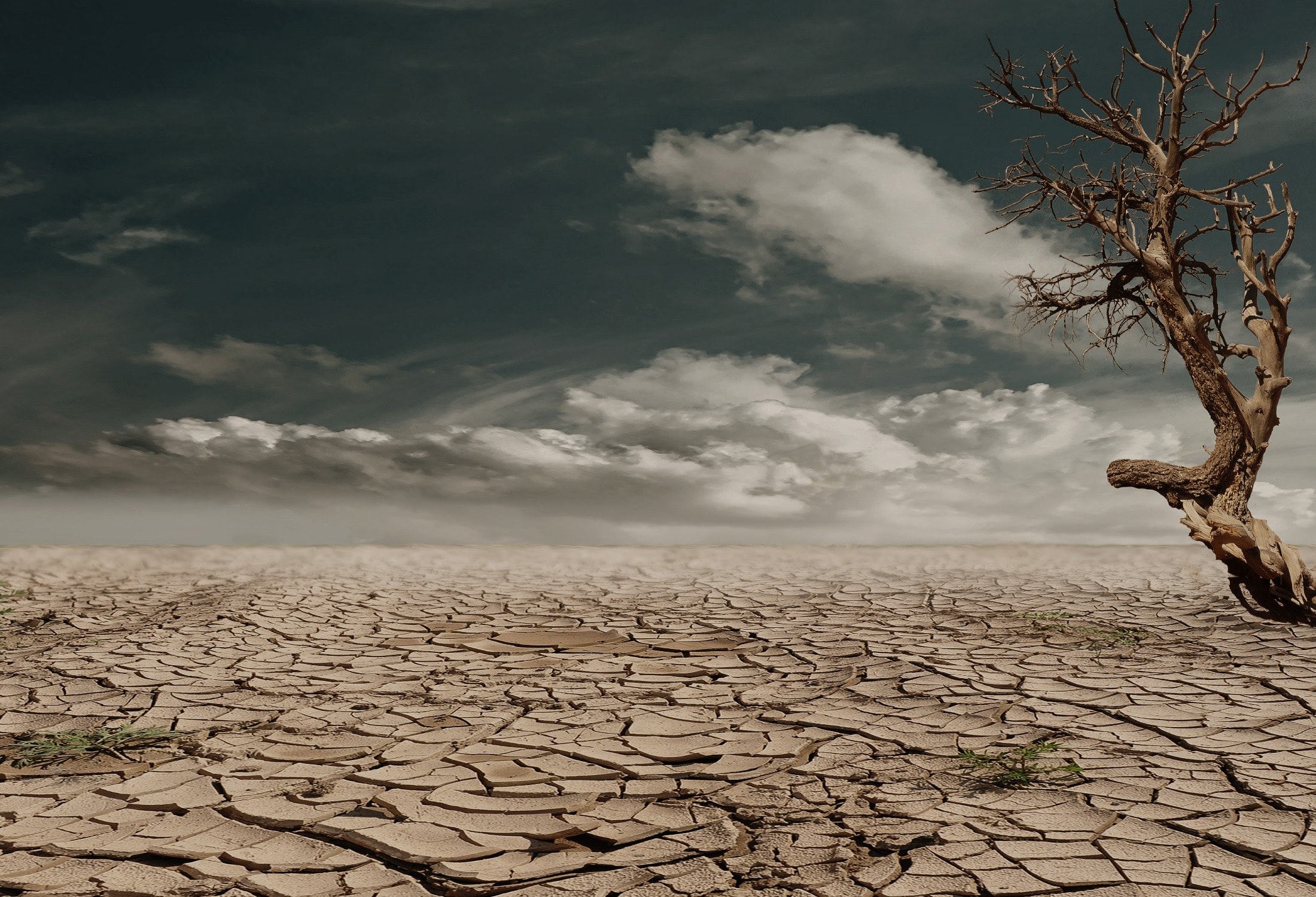Climate disaster, emptyness and dry soil