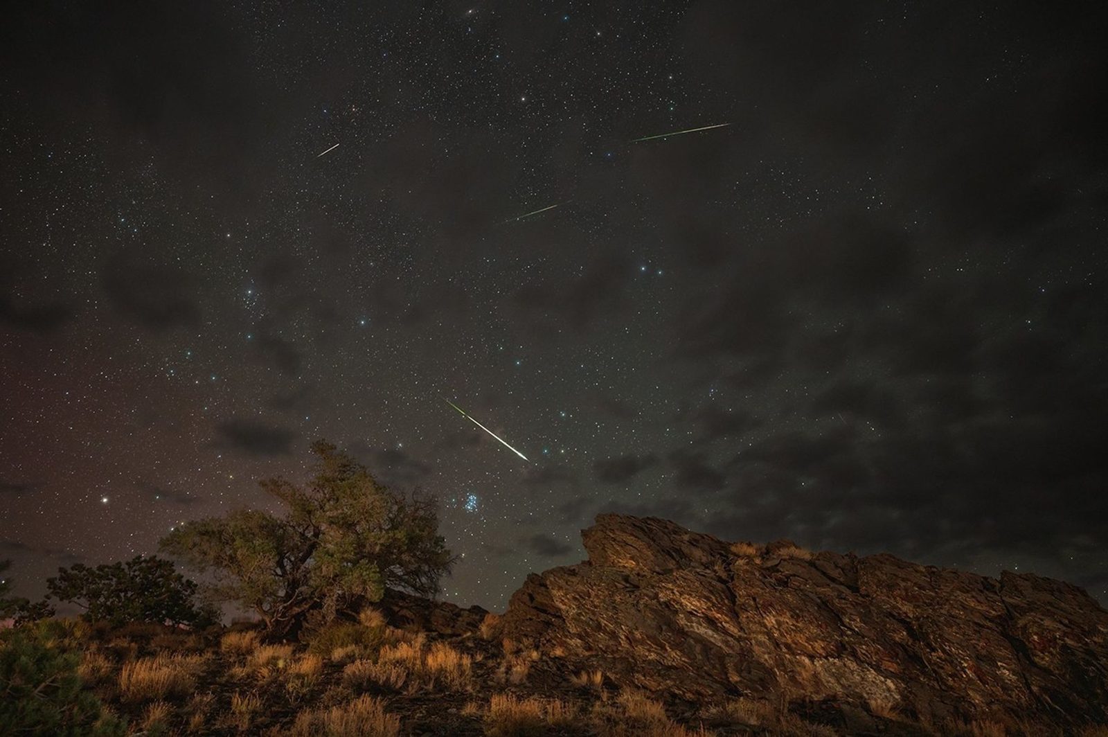 Several Perseid shooting stars crossing a starry night sky